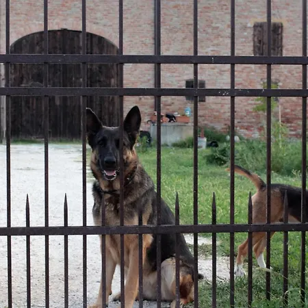 Nocleg ze śniadaniem La Casa Dei Prugni 3*