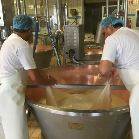 La Casa Dei Prugni Boretto