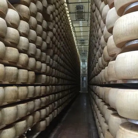 La Casa Dei Prugni Boretto