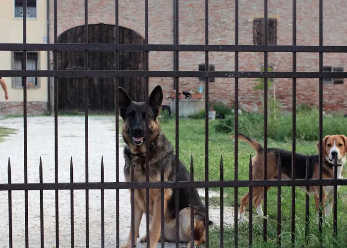 Nocleg ze śniadaniem La Casa Dei Prugni 3*