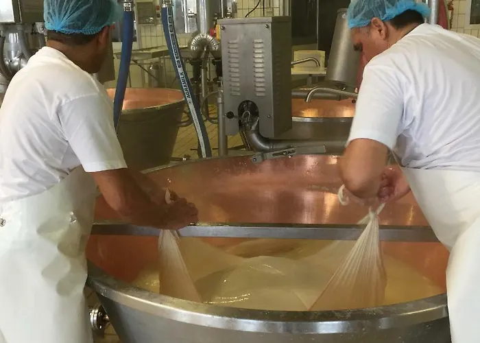 La Casa Dei Prugni Boretto