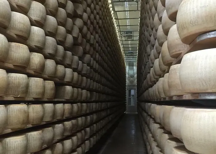 La Casa Dei Prugni Boretto