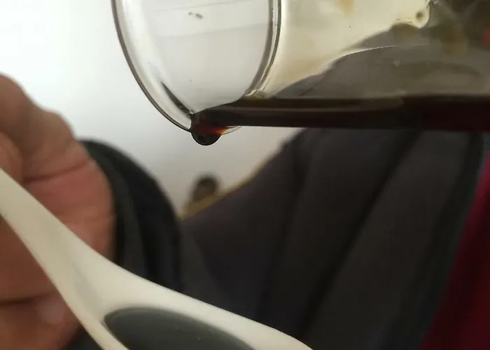 Bed & Breakfast La Casa Dei Prugni Boretto