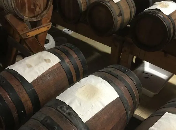 La Casa Dei Prugni 3* Boretto